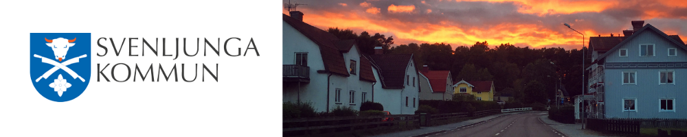 Svenljunga kommun, IT-enheten